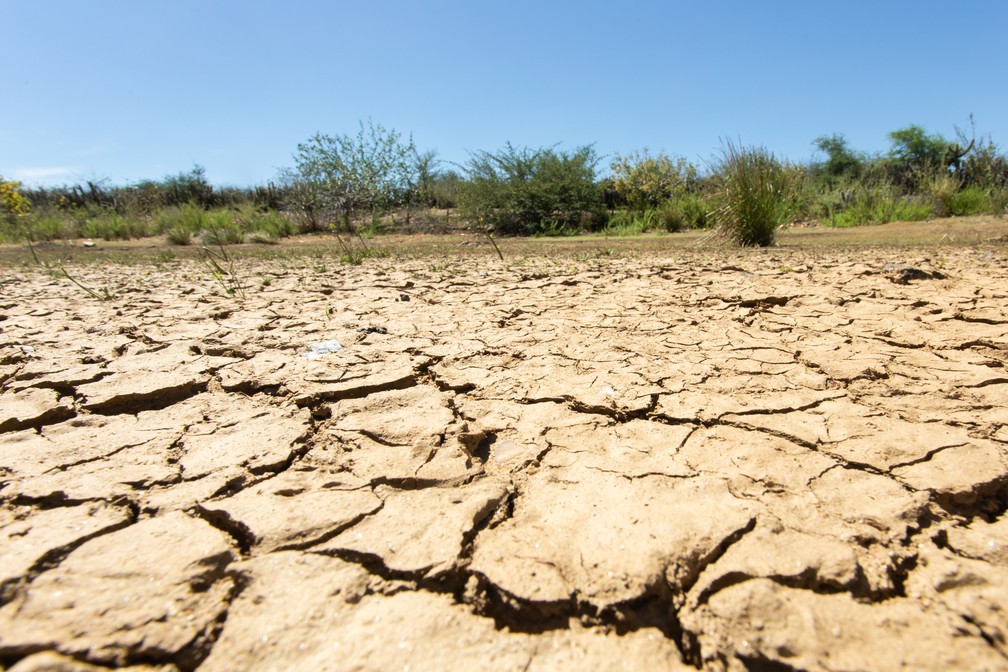 Desertificação atinge 13% do semiárido brasileiro e ameaça conservação da caatinga
