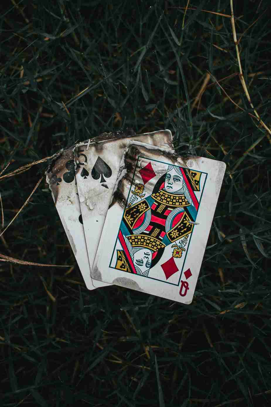 https://ninlay-casinofr.com https://ninlay-casinofr.com